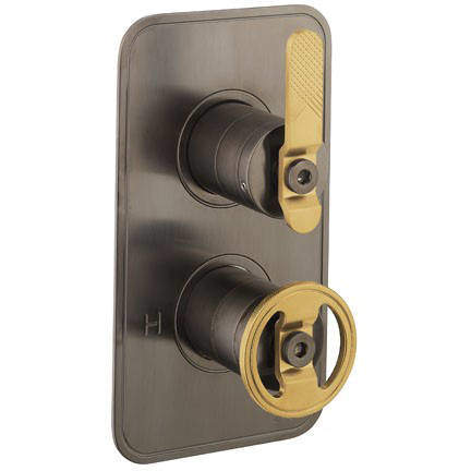Crosswater UNION Thermostatic Shower Valve (1 Outlet, Black & Brass).