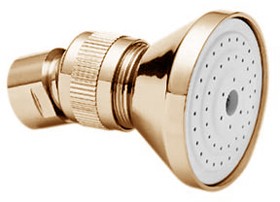 Deva Shower Heads Single Function 2" Shower Rose (Gold).