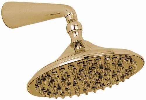 Vado Shower 9" 230mm Drench shower head and arm in gold.