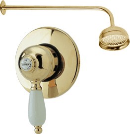 Viscount Manual single lever shower valve with BIR kit (Gold)