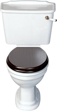 Avoca Classique WC with cistern and fittings