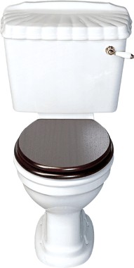 Avoca Shell WC with cistern and fittings