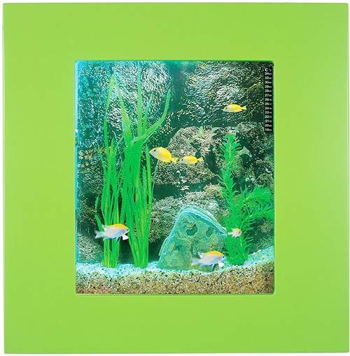 Relaxsea Compact Wall Hung Aquarium With Green Frame. 600x600x120mm.