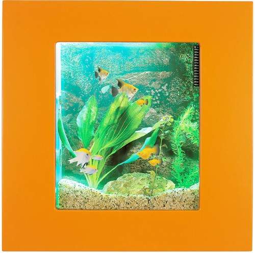 Relaxsea Compact Wall Hung Aquarium With Orange Frame. 600x600x120mm.