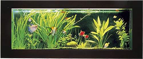 Relaxsea Ideal Wall Hung Aquarium With Ash Frame. 800x450x120mm.