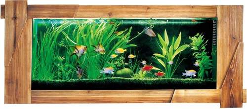 Relaxsea Organic Wall Hung Aquarium With Hard Wood Frame. 1500x600mm.
