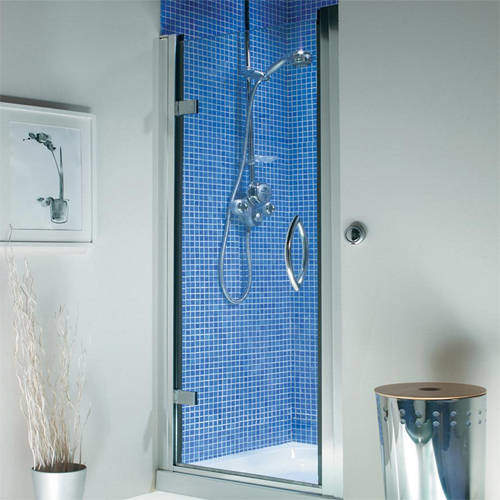 Roman Collage Hinged Shower Door With 8mm Glass (900x1830, Silver).