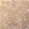 Natural Stone 2m Tumbled Travertine Noce Wall Tiles 200x200x10mm
