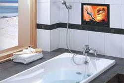 d2View 17" Widescreen Bathroom TV with remote control..