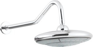 Component Enterprise fixed shower head and arm