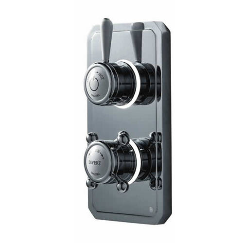 Example image of Digital Showers Shower / Bath Valve With Remote & Processor (2 Outlets, LP).