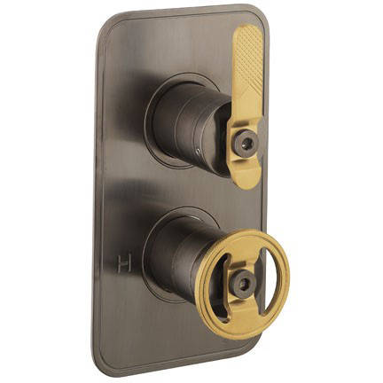 Larger image of Crosswater UNION Thermostatic Shower Valve (1 Outlet, Black & Brass).