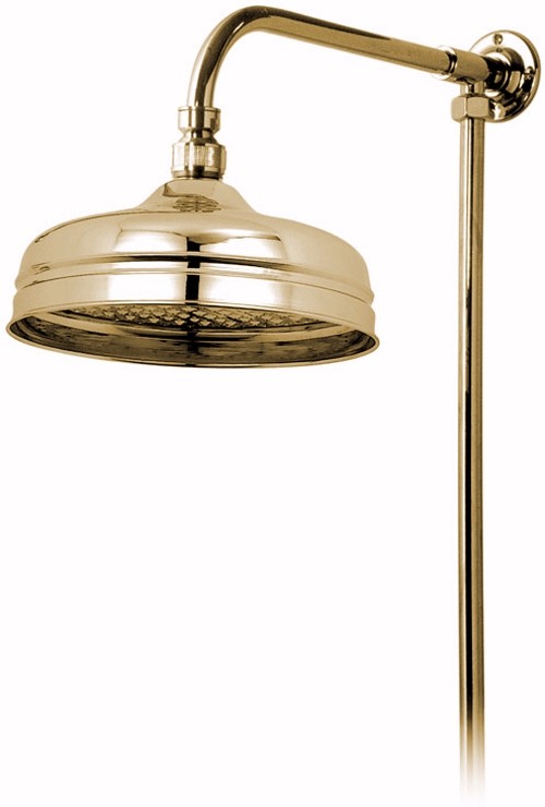 Larger image of Vado Westbury Traditional rigid riser in gold with 8" shower head.