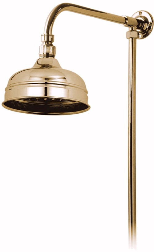 Larger image of Vado Westbury Traditional rigid riser in gold with 6" shower head.