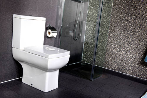 Example image of Oxford Daisy Lou Suite With Flush To Wall Toilet, Seat, Basin & Semi Pedestal