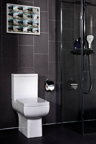 Example image of Oxford Daisy Lou Close Coupled Toilet Pan With Cistern & Seat (WRAS).