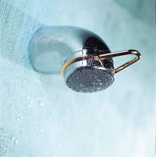 Larger image of Mira Aquations Fixed Shower Head Kit in Chrome  & Gold (BIR).