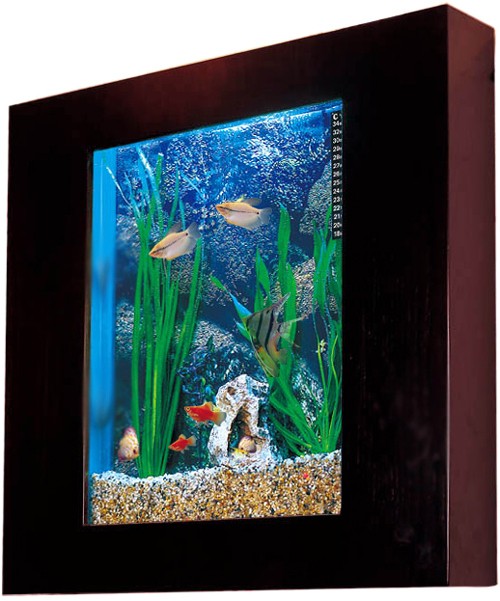 Example image of Relaxsea Compact Wall Hung Aquarium With Ash Frame. 600x600x120mm.