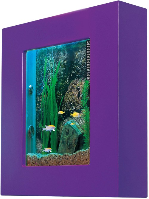 Example image of Relaxsea Compact Wall Hung Aquarium With Purple Frame. 600x600x120mm.