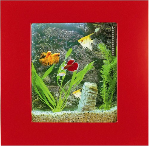 Larger image of Relaxsea Compact Wall Hung Aquarium With Red Frame. 600x600x120mm.