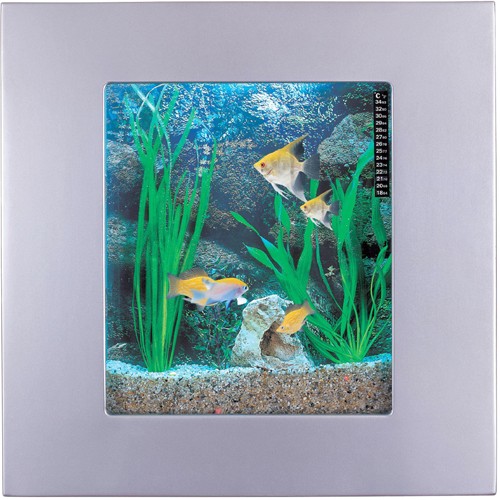 Larger image of Relaxsea Compact Wall Hung Aquarium With Silver Frame. 600x600x120mm.