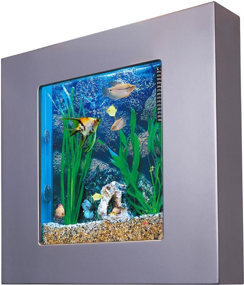 Example image of Relaxsea Compact Wall Hung Aquarium With Silver Frame. 600x600x120mm.