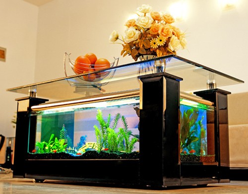 Example image of Relaxsea Combo Coffee Table Aquarium With Glass Frame. 1200x650x550mm.
