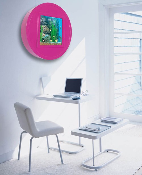 Example image of Relaxsea Halo Wall Hung Aquarium With Pink Frame. 800x800x160mm.