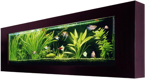 Example image of Relaxsea Ideal Wall Hung Aquarium With Ash Frame. 1500x600x120mm.