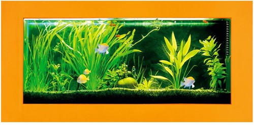 Larger image of Relaxsea Ideal Wall Hung Aquarium With Orange Frame. 1500x600x120mm.