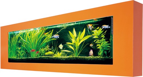 Example image of Relaxsea Ideal Wall Hung Aquarium With Orange Frame. 1500x600x120mm.