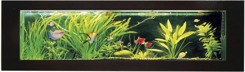 Larger image of Relaxsea Ideal Wall Hung Aquarium With Ash Frame. 2000x600x160mm.