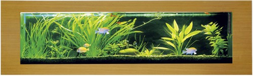 Larger image of Relaxsea Ideal Wall Hung Aquarium With Oak Frame. 2000x600x160mm.