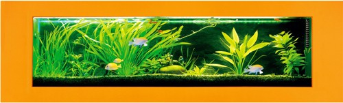 Larger image of Relaxsea Ideal Wall Hung Aquarium With Orange Frame. 2000x600x160mm.