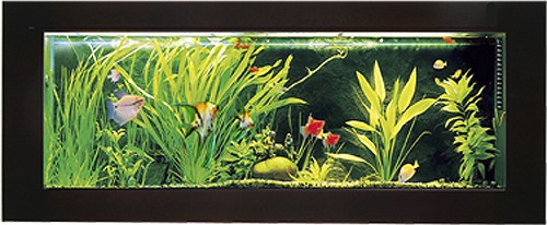 Larger image of Relaxsea Ideal Wall Hung Aquarium With Ash Frame. 800x450x120mm.
