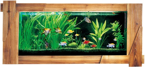 Larger image of Relaxsea Organic Wall Hung Aquarium With Hard Wood Frame. 1200x600mm.
