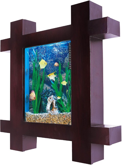 Example image of Relaxsea Vogue Wall Hung Aquarium With Ash Frame. 800x800x120mm.