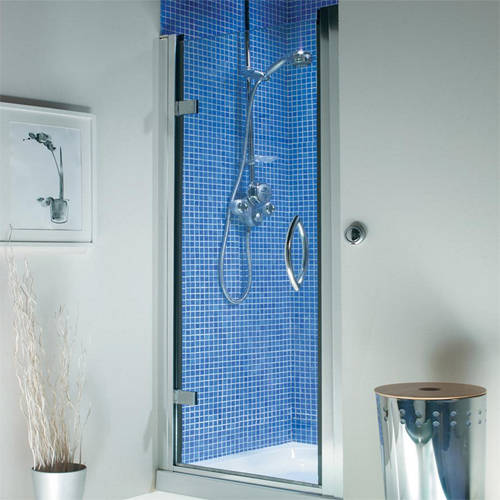 Larger image of Roman Collage Hinged Shower Door (760/800x1830, Silver).