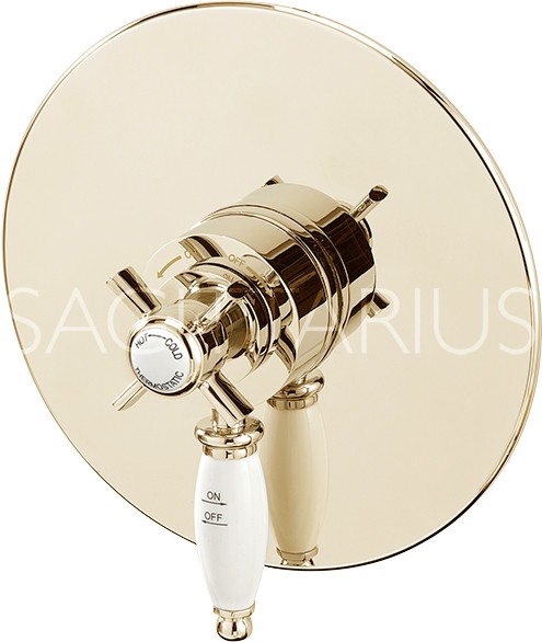 Example image of Sagittarius Churchmans Concealed Shower Valve With Slide Rail Kit (Gold).