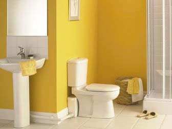 Example image of Saniflo Sanislim macerator for slimline WC.