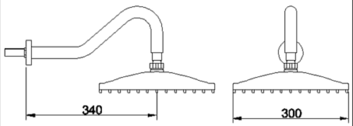 Technical image of Component 12" Sunflower fixed shower head and arm