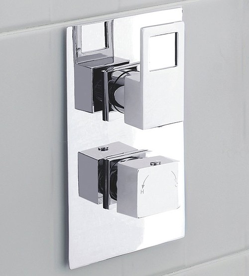 Example image of Hudson Reed Logo 3/4" Twin Thermostatic Shower Valve With Diverter.